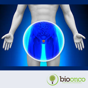 Tratamento fisioterapêutico na incontinência urinária pós-prostatectomia radical