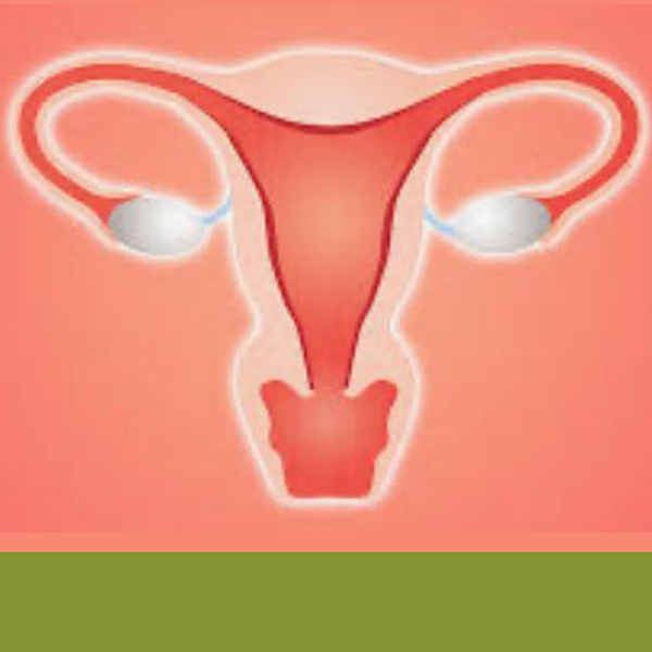 Estenose Vaginal Pós Radioterapia